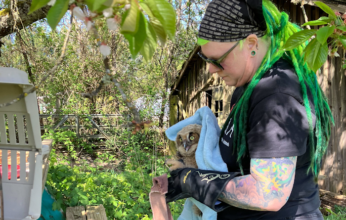 How To Help | On Call Community Rescue for Animals